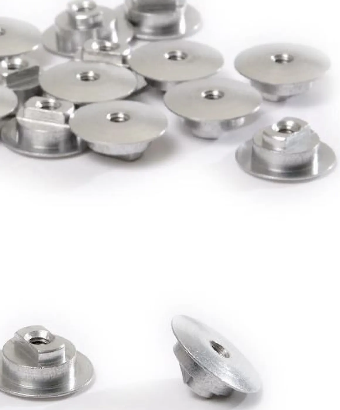 Bauer Nut Large - 24 Pack